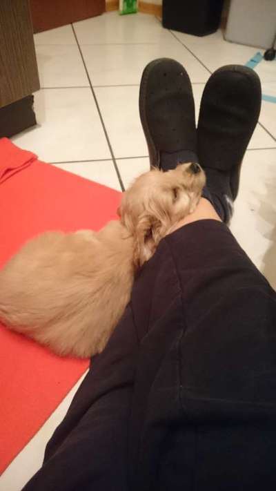 Foto Challenge 3-Beitrag-Bild