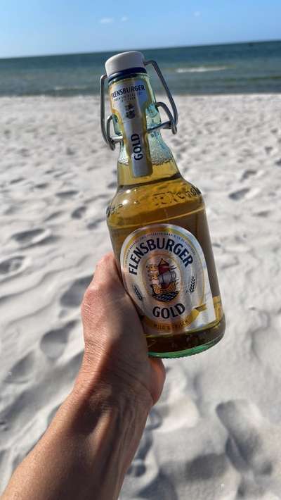 Rhodesian Ridgeback-Beitrag-Bild