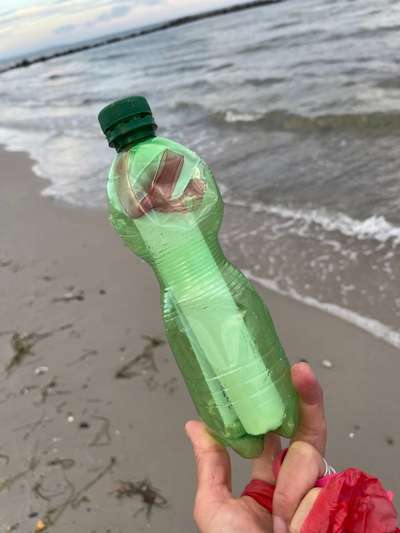 Rhodesian Ridgeback-Beitrag-Bild