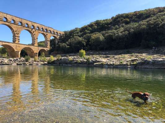 Urlaub Must Haves-Beitrag-Bild