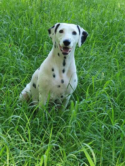 Fotochallange Nr. 57     PORTRÄT.   Beendet!!!!!!!!-Beitrag-Bild