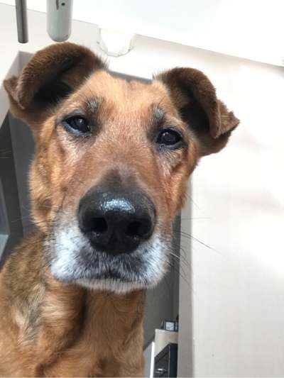 Fotochallange Nr. 57     PORTRÄT.   Beendet!!!!!!!!-Beitrag-Bild