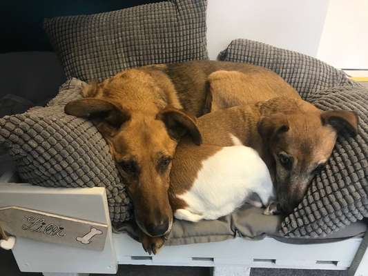 Challenge 30  Freundschaft-Beitrag-Bild