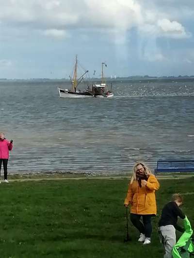 Foto Challenge - BEENDET - bitte aktuelle Challenge nutzen-Beitrag-Bild