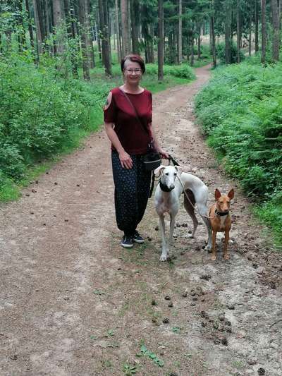 Windhunde - Treffen der besonderen Schönheiten
HERZLICH WILLKOMMEN-Beitrag-Bild