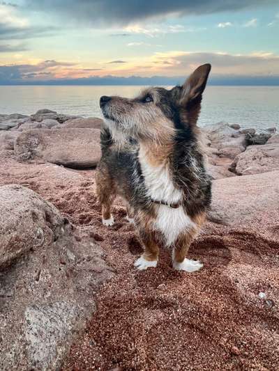 Zeigt eure Portraits-Beitrag-Bild