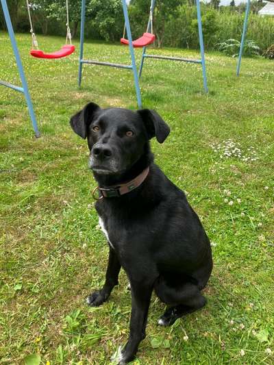 Doppelgänger gesucht !-Beitrag-Bild