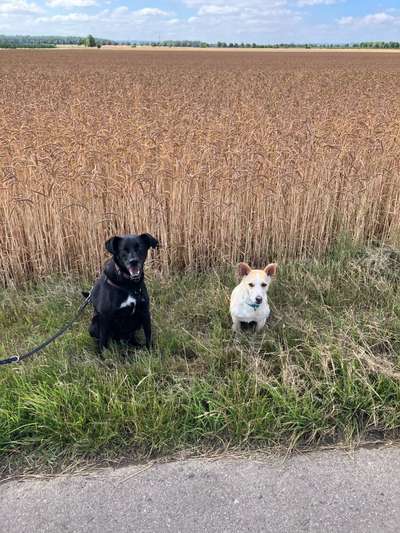 Doppelgänger gesucht !-Beitrag-Bild