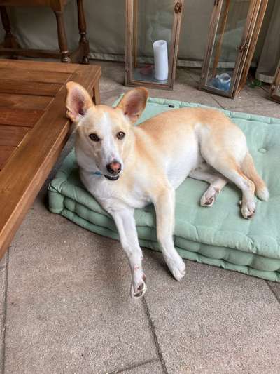 Doppelgänger gesucht !-Beitrag-Bild