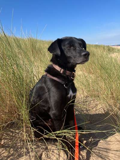 Doppelgänger gesucht !-Beitrag-Bild