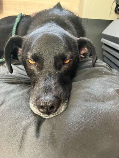 20. Handy -Foto-Callenge-Beitrag-Bild