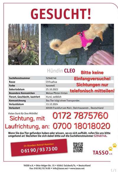 Suchmeldung-Cleo-Bild