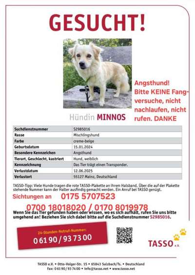 Suchmeldung-Minnos-Bild
