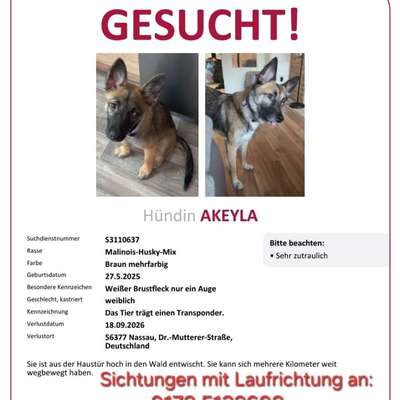 Suchmeldung-Akeyla-Bild