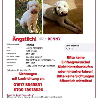 Suchmeldung-Benny-Bild