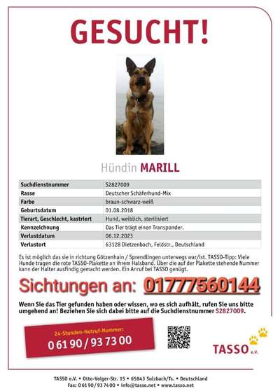 Suchmeldung-Marill-Bild