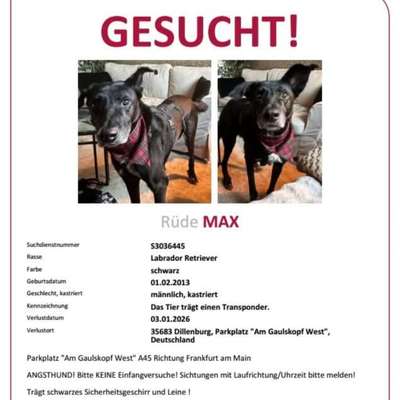 Suchmeldung-Max-Bild
