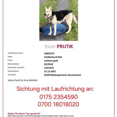 Suchmeldung-Prutik-Bild