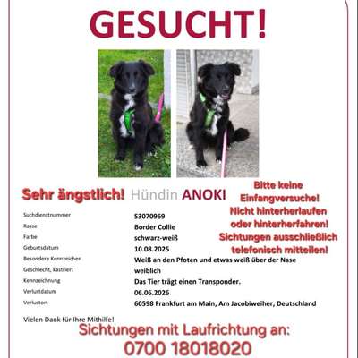 Suchmeldung-Anoki-Bild