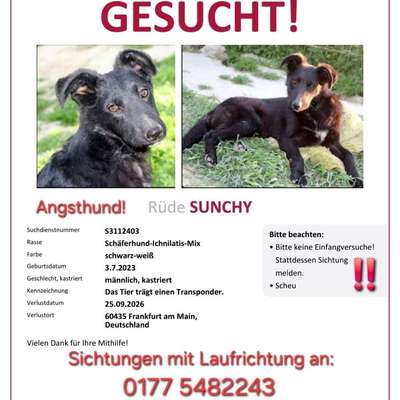 Suchmeldung-Sunchy-Bild