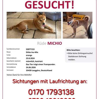 Suchmeldung-Michio-Bild