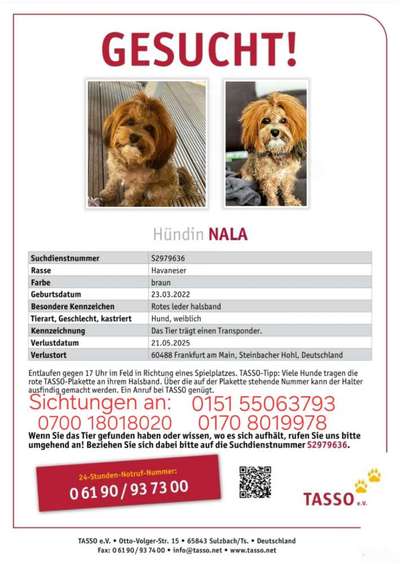 Suchmeldung-Nala-Bild