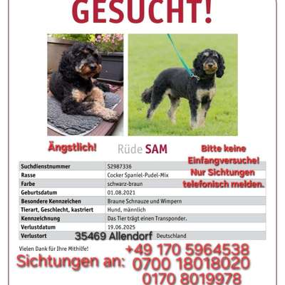 Suchmeldung-Sam (Samy)-Bild