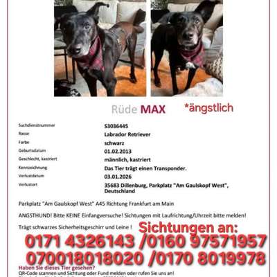 Suchmeldung-Max-Bild