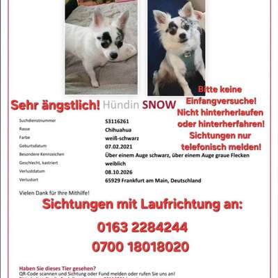 Suchmeldung-Snow-Bild