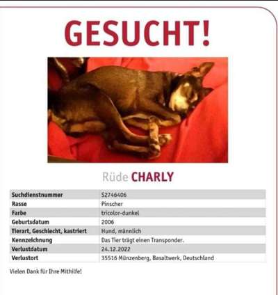 Suchmeldung-Charly-Bild