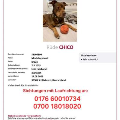 Suchmeldung-Chico-Bild