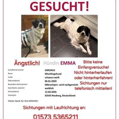Suchmeldung-Emma-Bild
