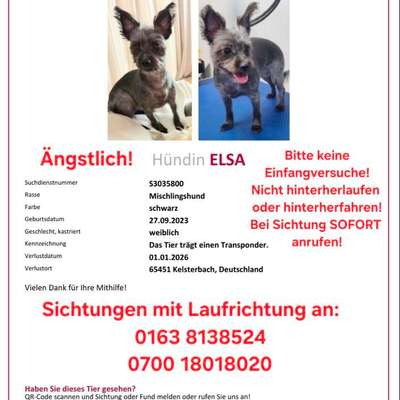 Suchmeldung-Elsa-Bild