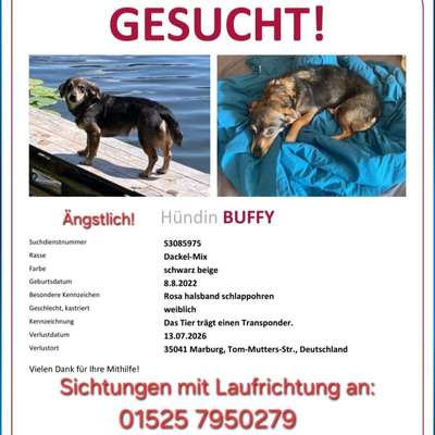 Suchmeldung-Buffy-Bild