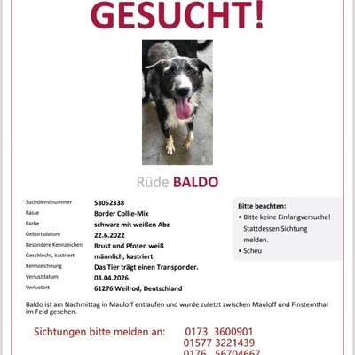 Suchmeldung-Baldo-Bild