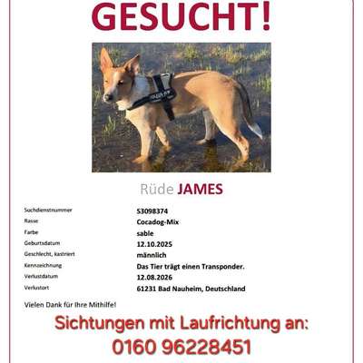 Suchmeldung-James-Bild