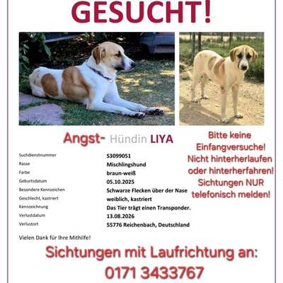 Suchmeldung-Liya-Bild