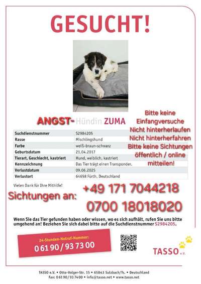 Suchmeldung-Zuma-Bild