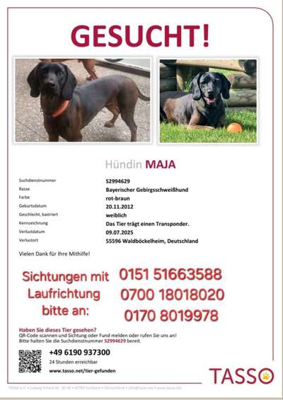Suchmeldung-Maja-Bild