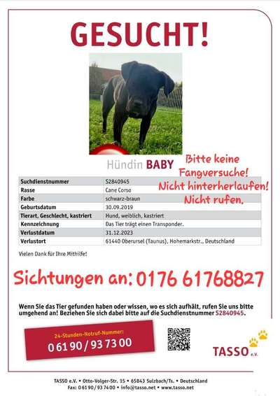 Suchmeldung-Baby-Bild