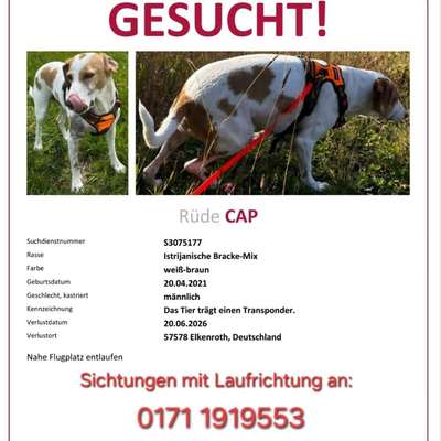 Suchmeldung-Cap-Bild