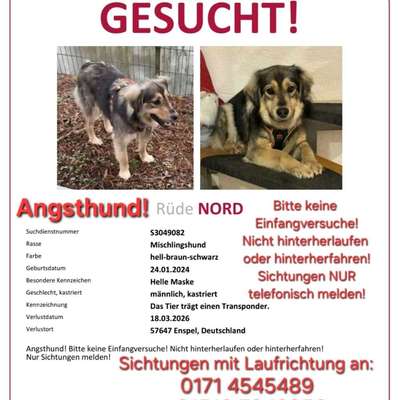 Suchmeldung-Nord-Bild