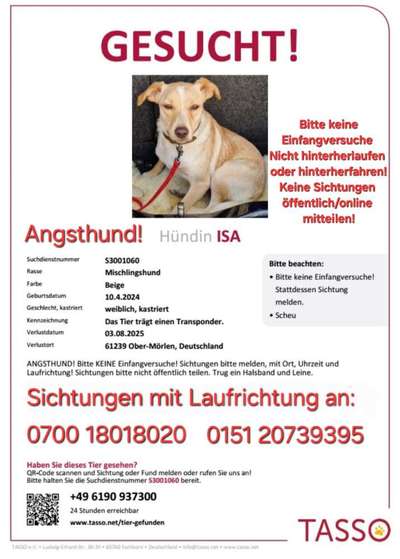 Suchmeldung-Isa-Bild