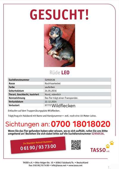 Suchmeldung-Leo-Bild