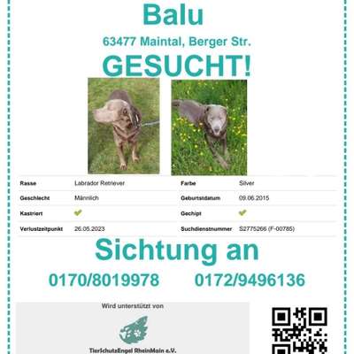 Suchmeldung-Balu-Bild