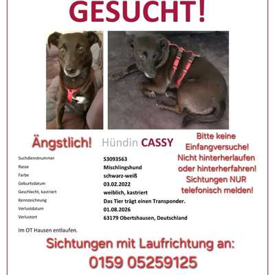 Suchmeldung-Cessy-Bild
