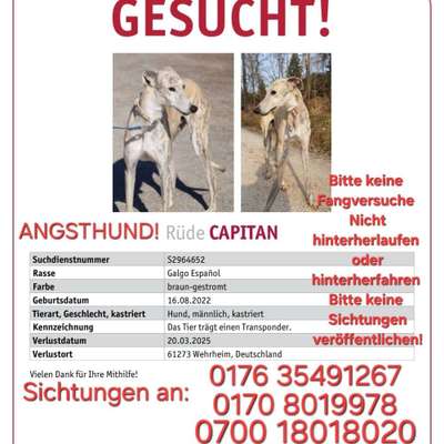 Suchmeldung-Capitan-Bild