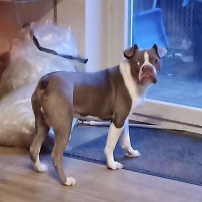 Suchmeldung-Zuma-Bild