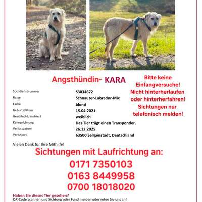 Suchmeldung-Kara-Bild