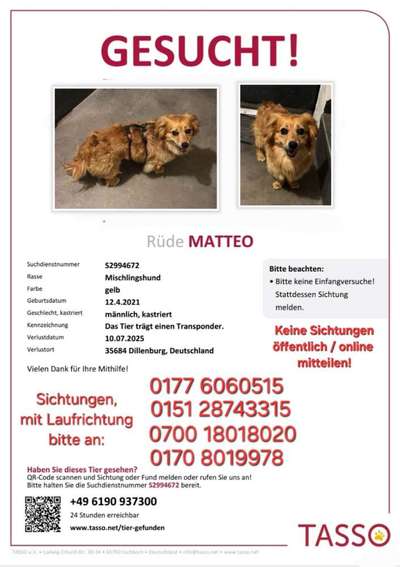 Suchmeldung-Matteo-Bild